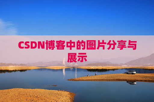 CSDN博客中的图片分享与展示